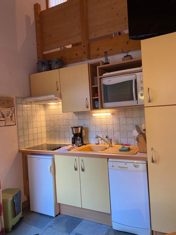 "L'Ancolie" Appartement De Charme 4 Personnes A Val Cenis テルミニヨン エクステリア 写真